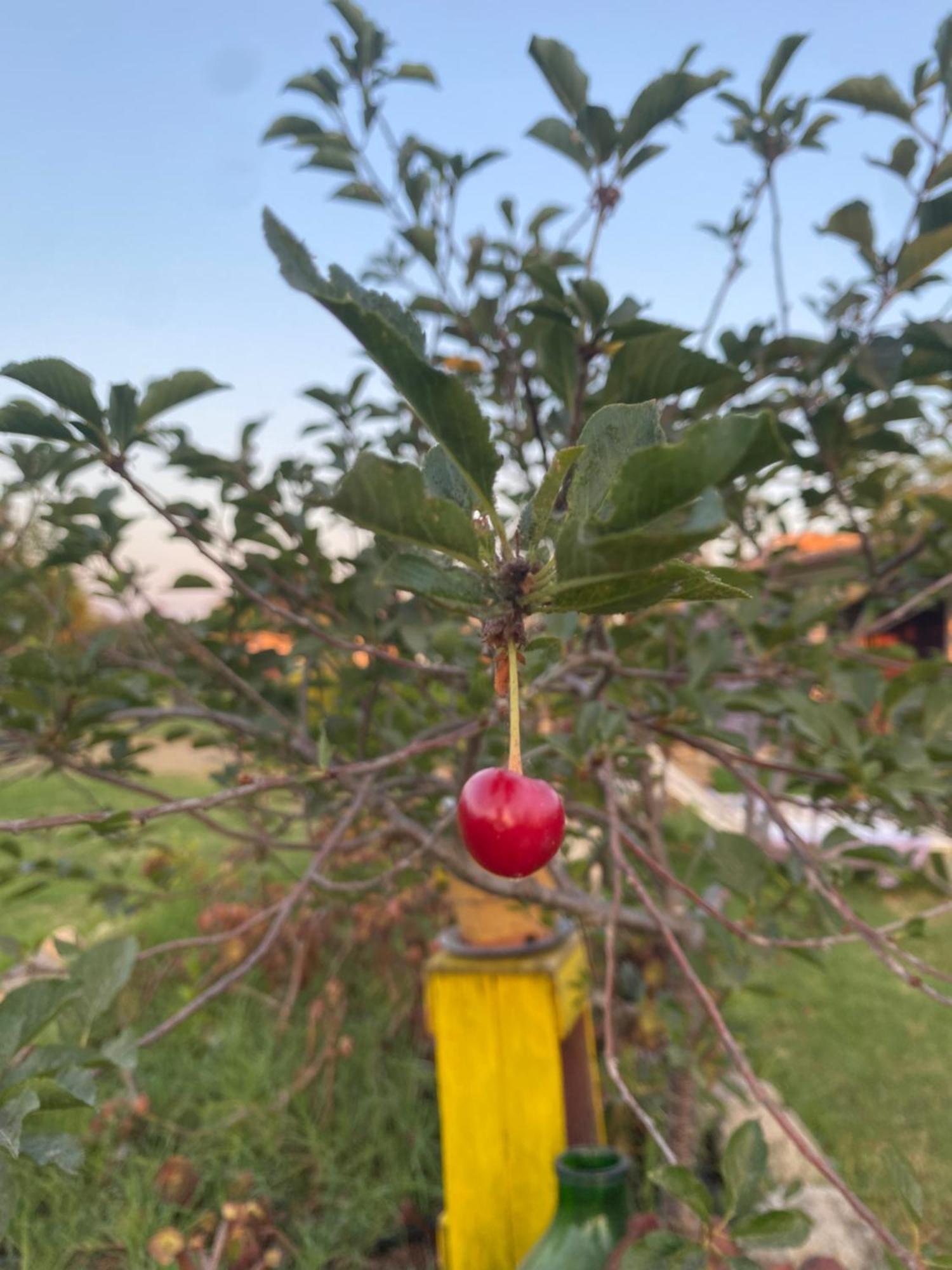 Agrib&B Lemontree Garde'N Syrakuzy Zewnętrze zdjęcie